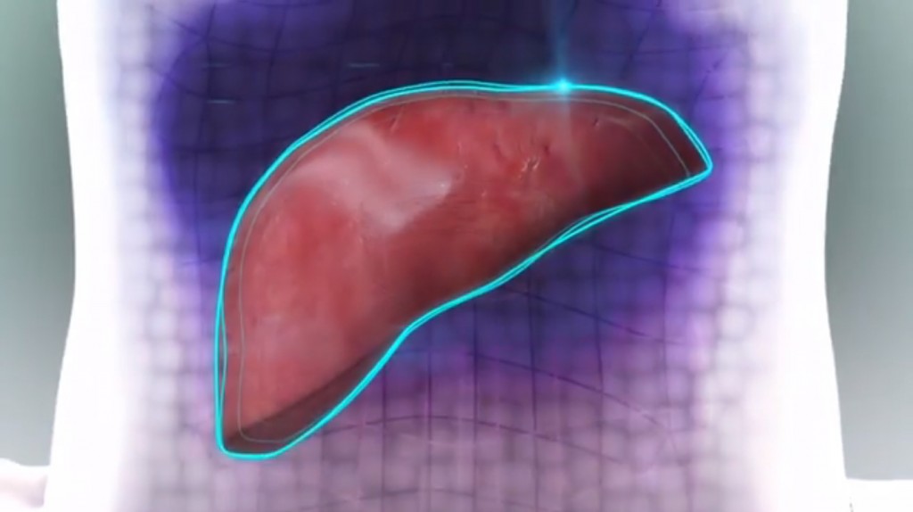 3D Bioprinting